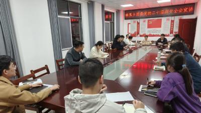 深学细悟全会精神  韩集乡激发凝聚青年力量