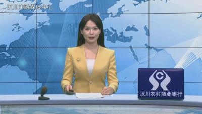 汉川新闻20251106