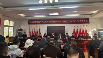 分水镇坚决打好“三资”管理突出问题专项整治“突击战”