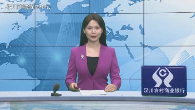 汉川新闻20251103