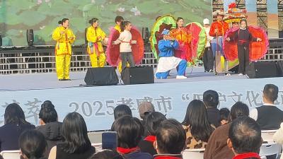 杨林沟镇：“蚌壳精”舞上槐荫大舞台