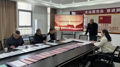 “五问”标尺精准量 党建巡整促提升