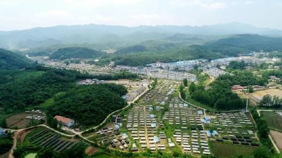 “山间珍味”变身“全球俏货”！随县“富民菇”藏着怎样的振兴密码？
