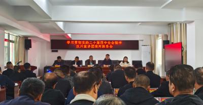 南河乡召开学习贯彻党的二十届四中全会精神报告会