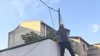 小区“夹缝树” 隐患化解记：党建引领三方联动解民忧