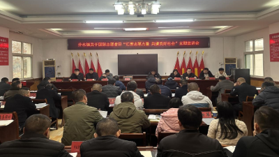 分水镇召开国际志愿者日宣讲会