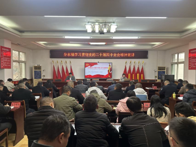 以全会精神为引领 分水镇扎实推进重点工作部署与落实