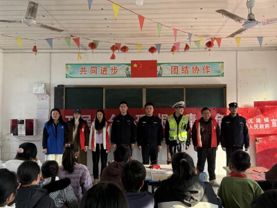 沉湖镇多部门联动走进李花小学开展综合宣传活动