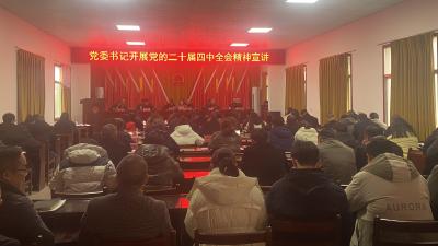 刘家隔镇开展学习贯彻党的二十届四中全会精神宣讲活动