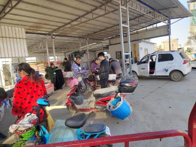 出租手机卡？当心成诈骗“同谋”！