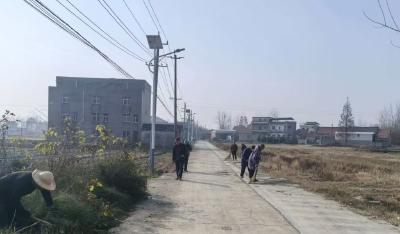 新堰镇红星村：干群携手清扫道路 乡村颜值焕新升级