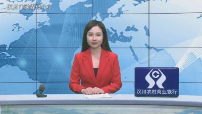 汉川新闻20251229