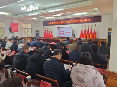 分水镇多层次立体化学习贯彻党的二十届四中全会精神