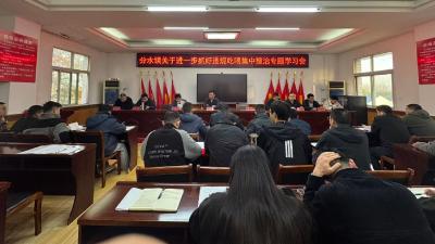 思想统起来 责任落下去 效果提上来——分水镇扎实开展违规吃喝集中整治专题学习研讨