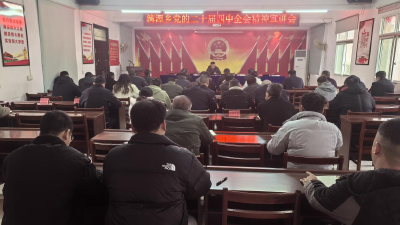 湾潭乡举行学习贯彻党的二十届四中全会精神专题宣讲会