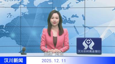 汉川新闻20251211