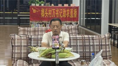 党建引领促振兴 实干担当谱新篇——马鞍乡以党建赋能乡村发展纪实