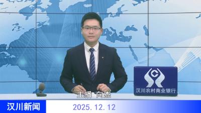 汉川新闻20251212