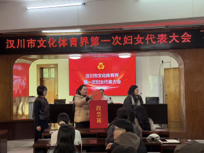 汉川市文化体育界妇女联合会第一次妇女代表大会召开