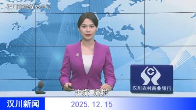 汉川新闻20251215