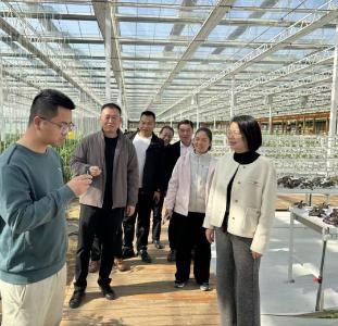 刘家隔镇“组团”赴孝昌“取经”：引他山之智，激活乡村振兴澎湃动能