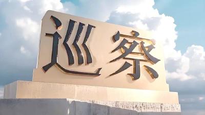 我市召开七届市委第十轮巡察报告质量评查暨工作总结会