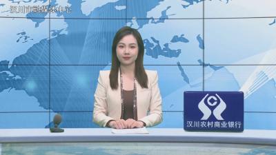 汉川新闻20251227