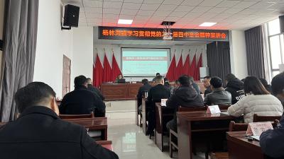 杨林沟镇召开学习贯彻党的二十届四中全会精神专题宣讲会