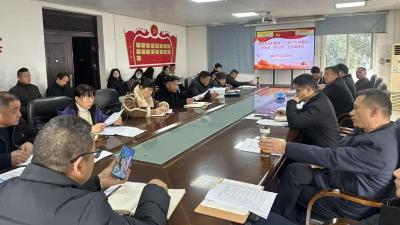 湾潭乡开展农村集体“三资”管理专项整治“回头看”业务能力推进会