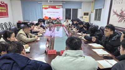 凝聚青春力量 共话成长担当 湾潭乡召开年轻干部座谈会