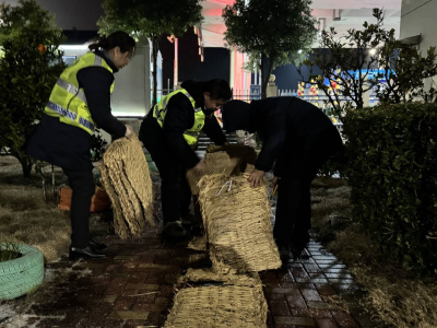 闻雪即动强部署 防患未然守平安