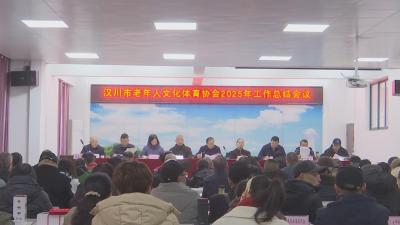 【视频】汉川市老年人文化体育协会召开2025年工作总结会