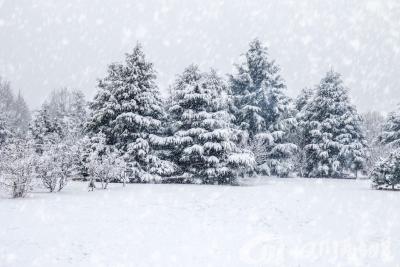 “三九”暖如春，“四九”迎速冻，我国今年到底是冷冬还是暖冬？