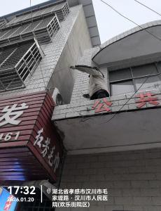 冰雪无阻践承诺 汉川联通紧急抢修保障用户网络畅通