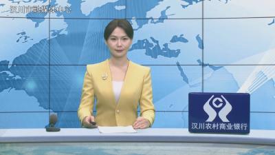 汉川新闻20260130