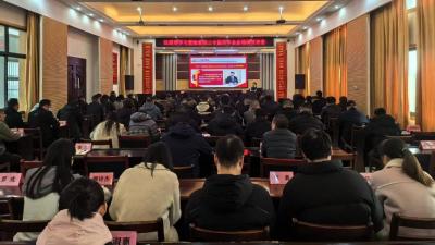 沉湖镇召开学习贯彻党的二十届四中全会精神宣讲会