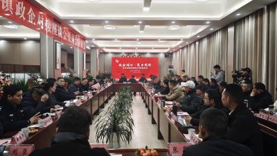 脉旺：政企合力，携手共进谋新篇  