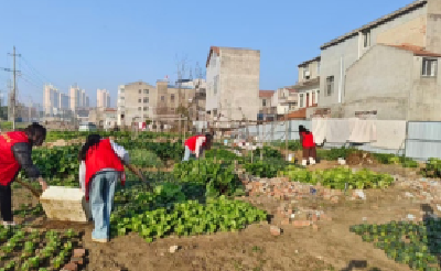 六合垸社区开展“清积水、除隐患、护健康”翻盆倒罐行动