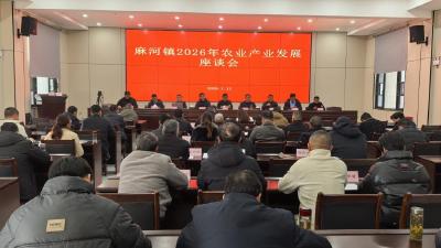 集智聚力谋振兴 共绘麻河农业新蓝图