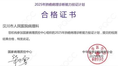 汉川市人民医院病理科2025年度质评获佳绩