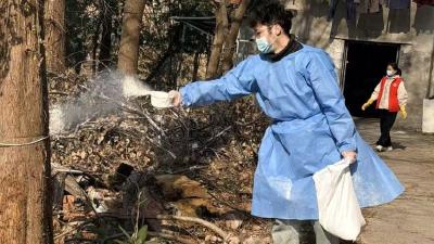 科学防蚊虫 向家垸社区开展冬季爱国卫生专项运动