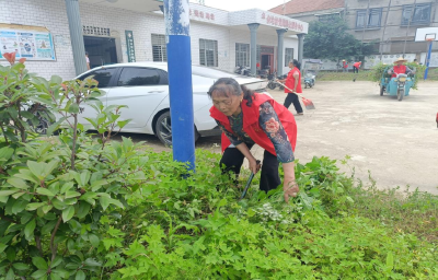 深化“美城”建设 分水镇开展环境卫生清洁行动