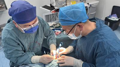 为92岁高龄患者成功手术，市人民医院守护“银龄视界”