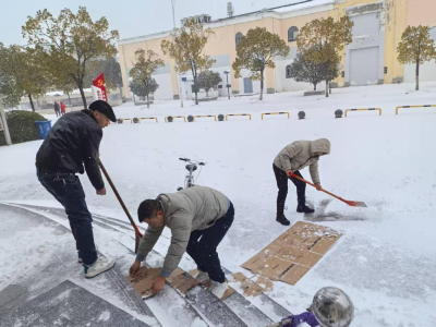 沉湖镇党群服务中心：清雪护行，用实干温暖群众出行路