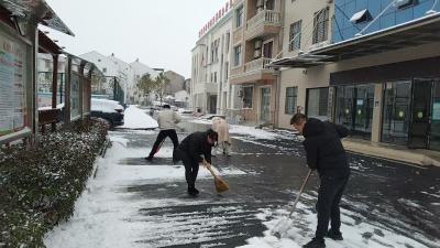 韩集乡：风雪砺初心 实干护民生