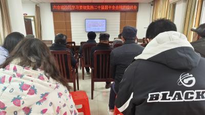 六合垸社区开展学习贯彻党的二十届四中全会精神宣讲活动