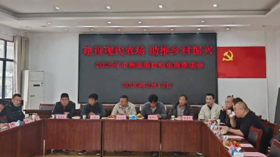 新春“凤还巢” 电商聚智共谋中洲发展新篇