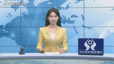 汉川新闻20260209