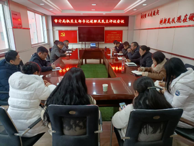 述职亮责强党建 履职担当促审计