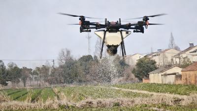 4小时飞防120亩 脉旺镇油菜田用上“科技管家”